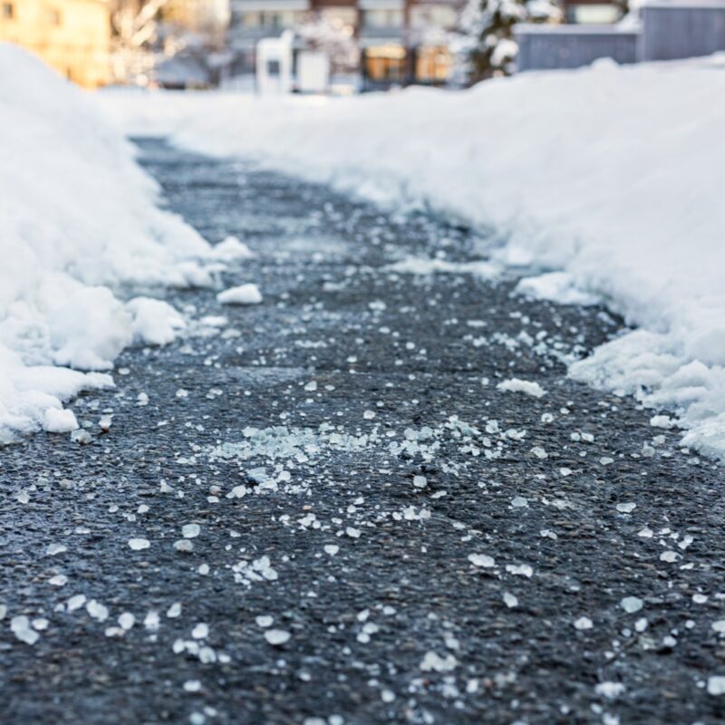 Salting borettslag